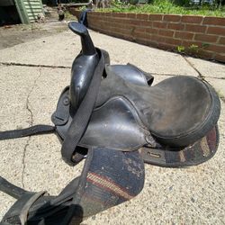 Saddle 