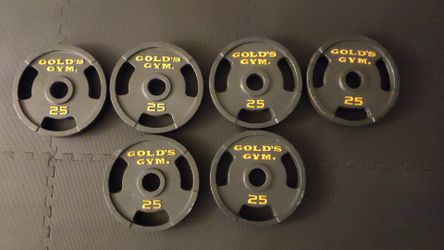 Gold's gym 25 lb plates hotsell