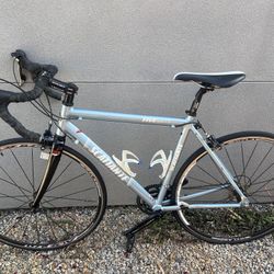 2009 Scattante 51cm Woman’s Road Bike