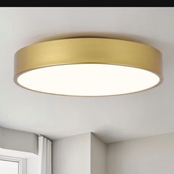 New Modern Gold Flush Mount Ceiling Light Fixture