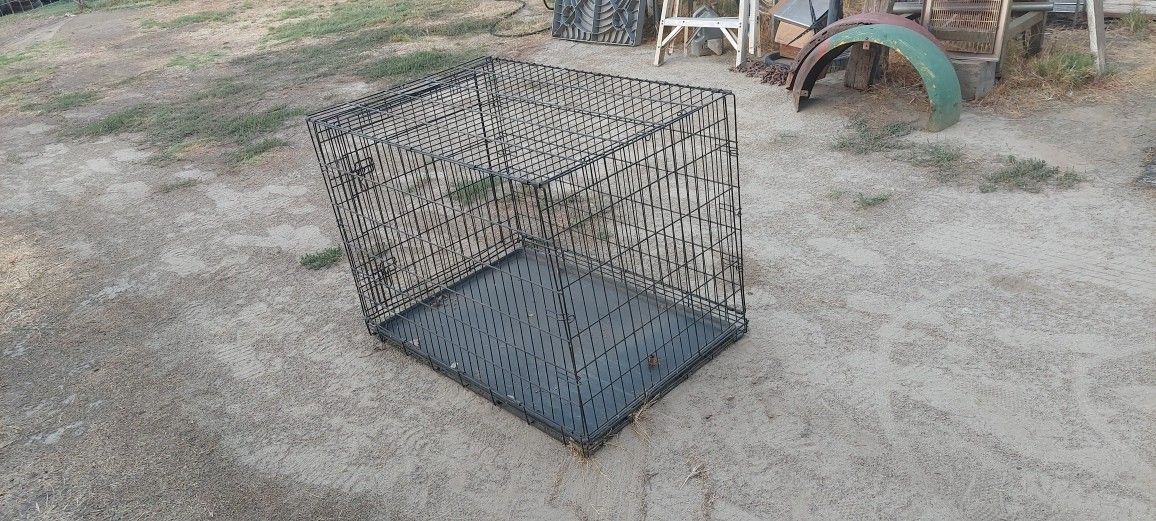 Animal Cage