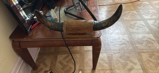 bull horns from The Philippines
