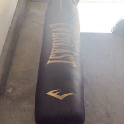 Everlast Punching Bag 