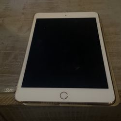 2017 iPad Mini 