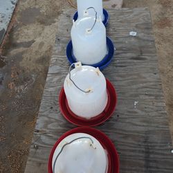 Poultry water 💧 drinkers