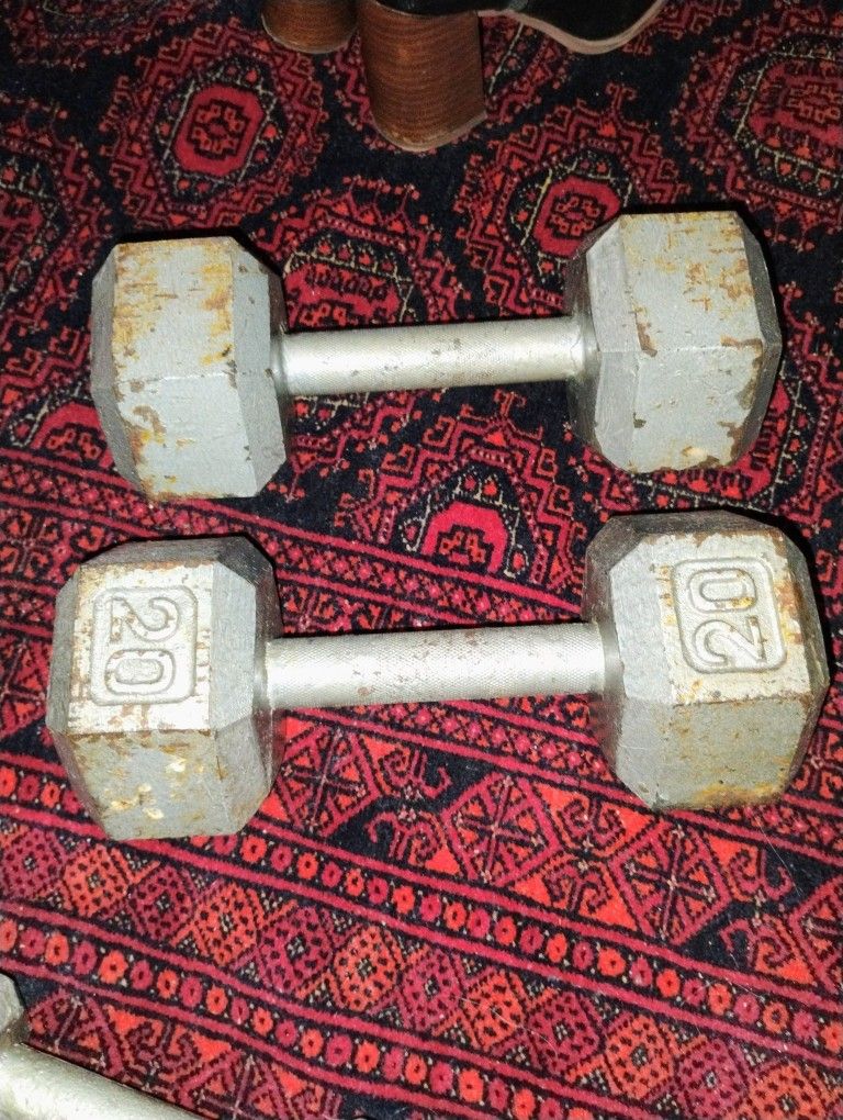 1 Pair 20 Lbs Dumbbell Pickup Only Cash 