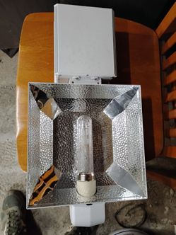300 watt luxx 315cmh grow light
