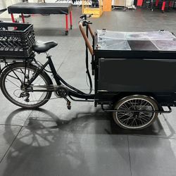 Electric Bike With Front Basket 