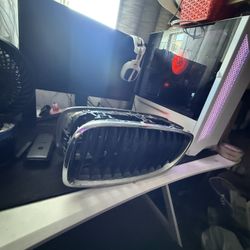 BMW OEM Front Grills 