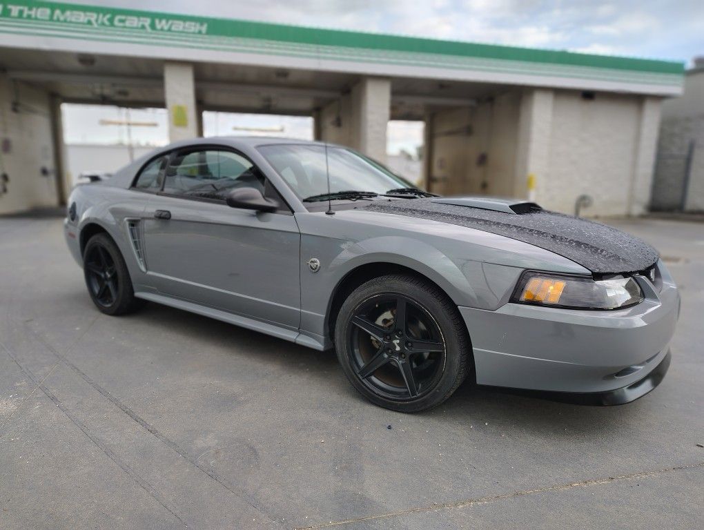 2004 Ford Mustang Gt Manual