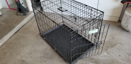 Dog training median size