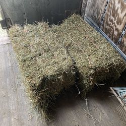 Pacas de Pastura. Sacate Y Alfalfa for Sale in Oak Lawn, IL - OfferUp