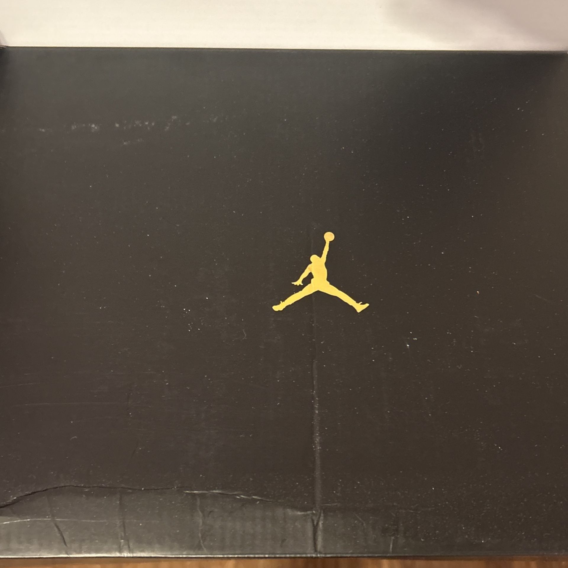 Jordan 11s “gratitude” Size 12