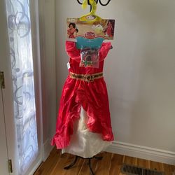 Elena Of Avalor Halloween Costume