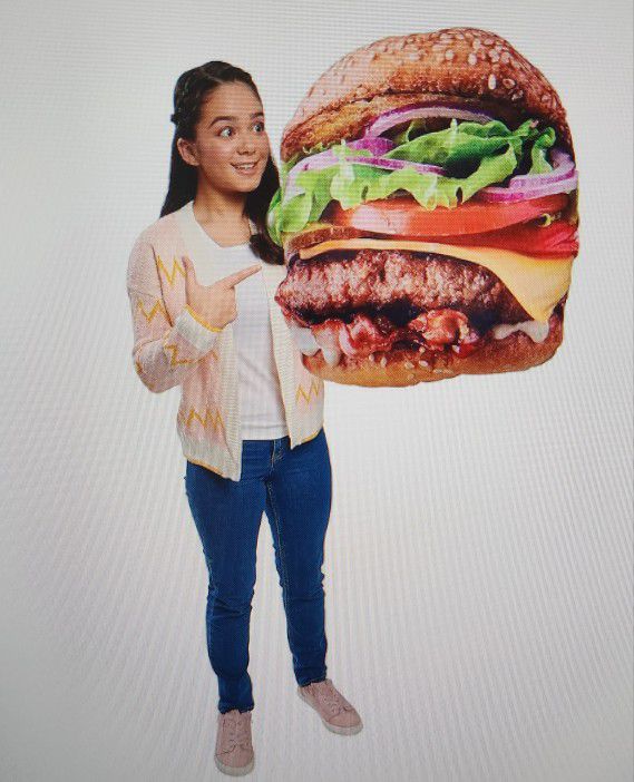 NEW Huge Cheeseburger Plushie 24"