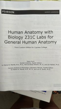 Human Anatomy Bio 231c Labs