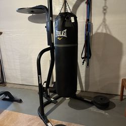 Everlast Boxing Bag And Stand