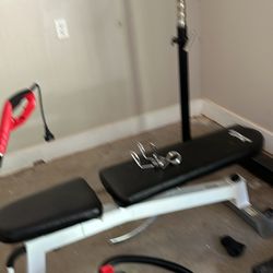 Bench Press 