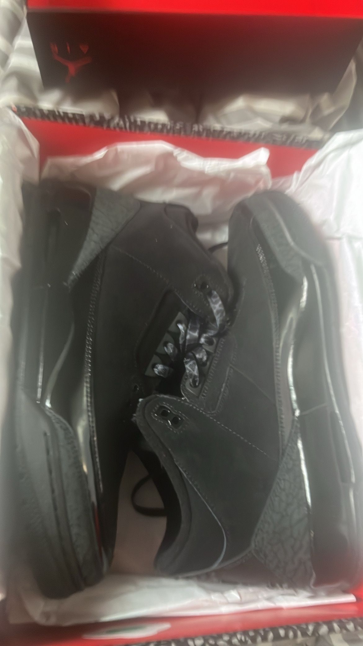Black Cats 2025 Size 10