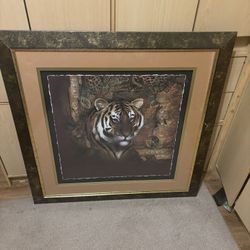 Tiger picture