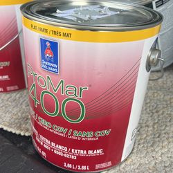 1 Gallon Interior Flat Muddy Grey
