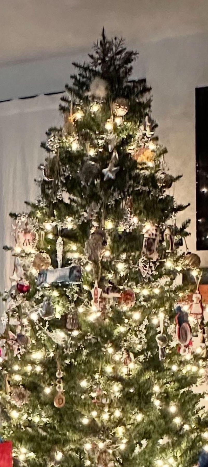 Grand Fir Christmas tree 7 Foot