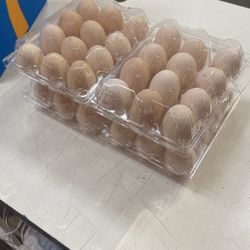 Fresh Farm Eggs