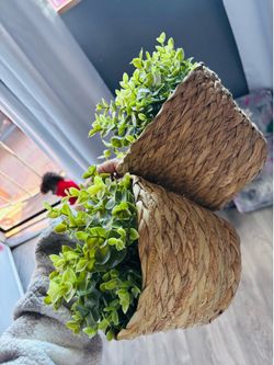 Artificial plants & baskets