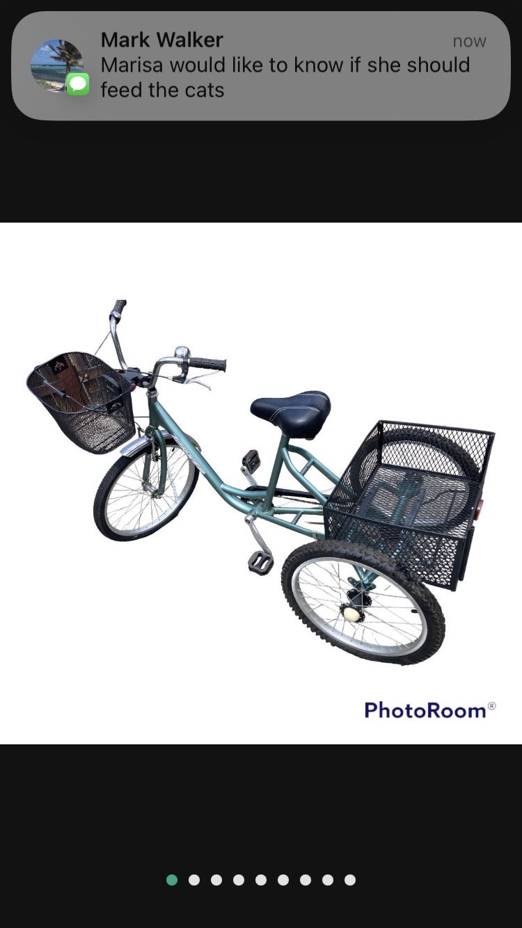 “Torker” Adult Three Wheel Women’s Bike