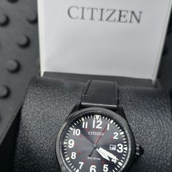 Citizen Eco-Drive Garrison (BM6835-15E)