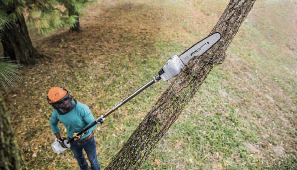 Pole Saw Ht 103