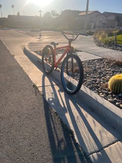 Throne 29er