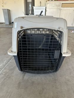 Kennel