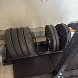 Rogue MIL Spec Bumper Plates