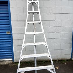 Orchard Ladder  8"
