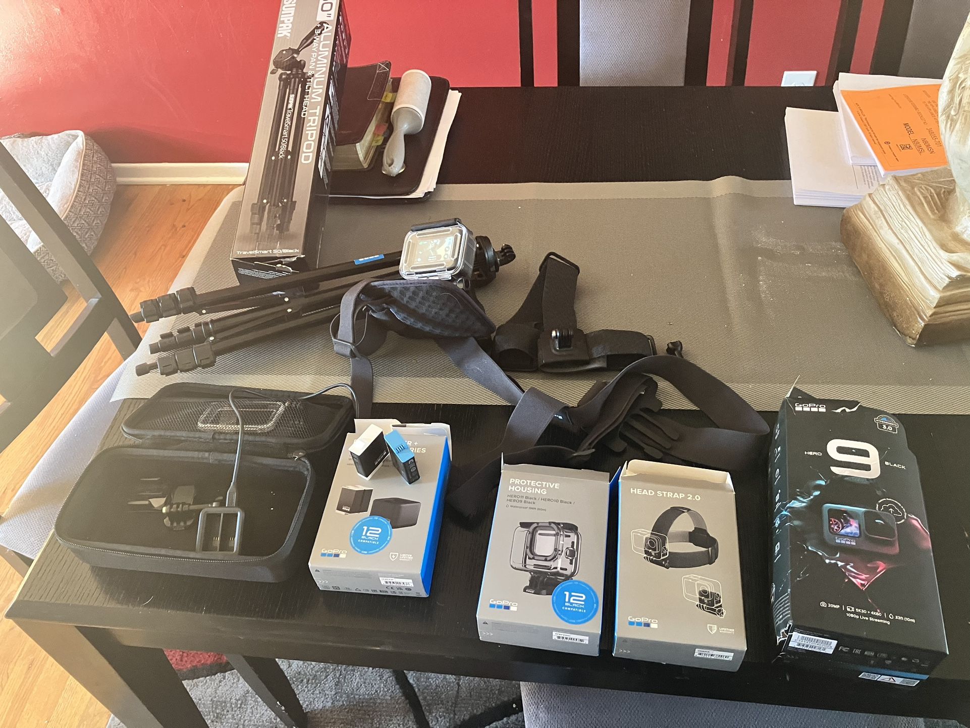 Complete GoPro 9 Setup