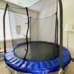 Skywalker Trampolines 10ft Trampoline