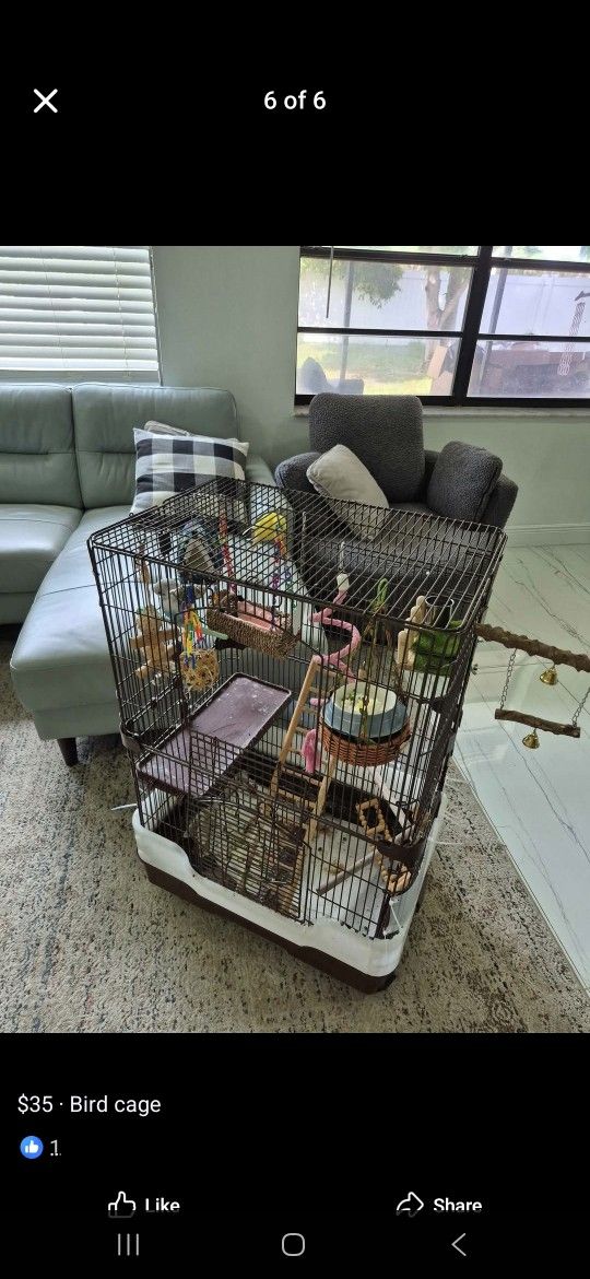 Bird Cage