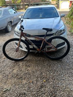 29 inch Big flyer SE bike
