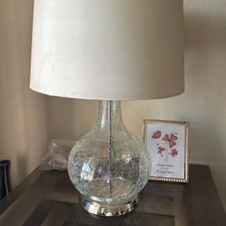 Lamp Needs A New Shade