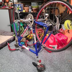 Trek Bike, REI bike, Thule Bike Rack