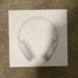 Air Pod Pro Max Silver