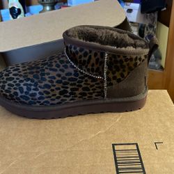 Women’s Uggs Brand New