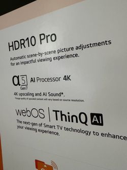 LG 65 inch Tav