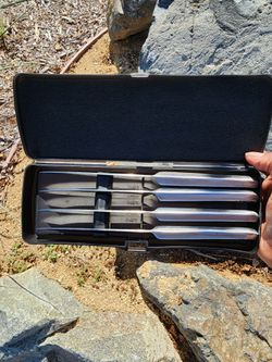 Füri 4-Piece Stainless Steel Steak Knife Set w/ Storage Case
