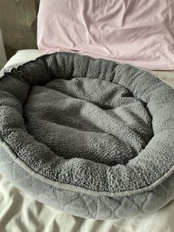 cat bed