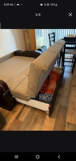 Bed sofa and storage