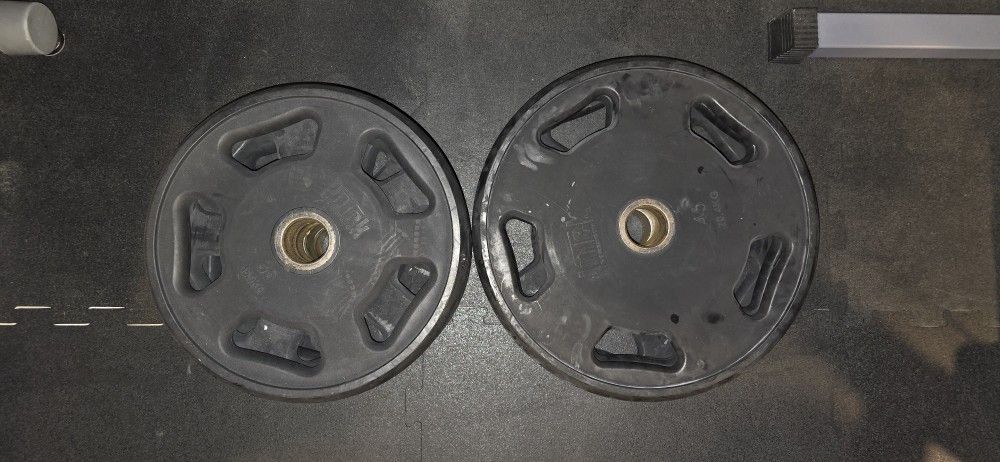 Intek Urethane Coated Weight Plates