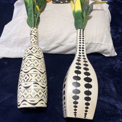 2 Decor Vases