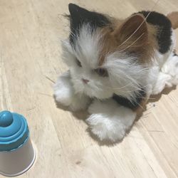 Hasbro Furreal Friends Kitten Cat Fun Toy